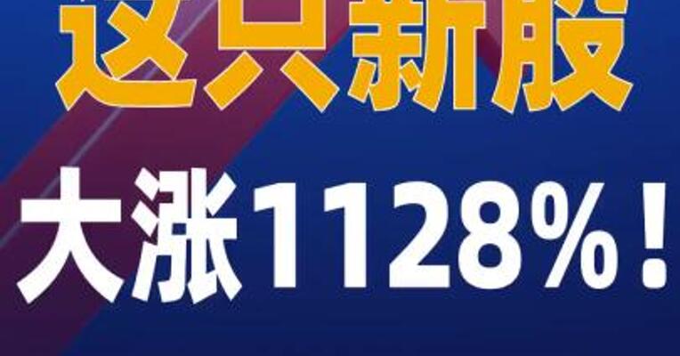 这只新股，大涨1128%