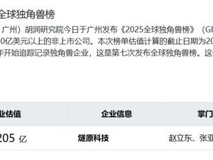 又一家国产GPU企业，IPO辅导完成！此前估值205亿元