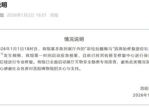 唐代彩绘贴金陶马碎了？洛阳博物馆发布情况说明：原始修复部位粘接剂老化开裂，已转移至修复中心