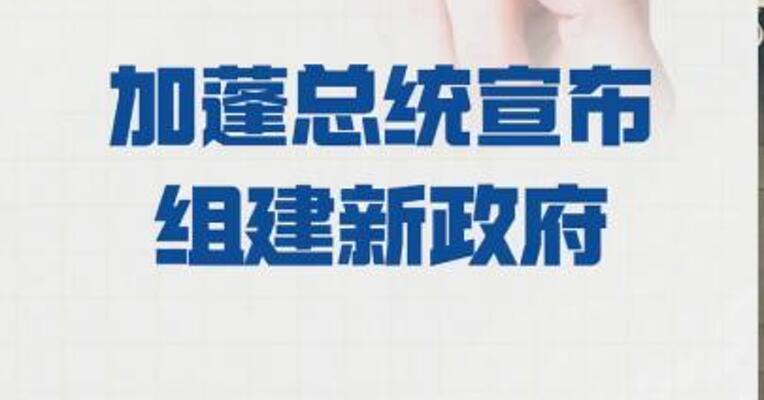 加蓬总统宣布 组建新政府