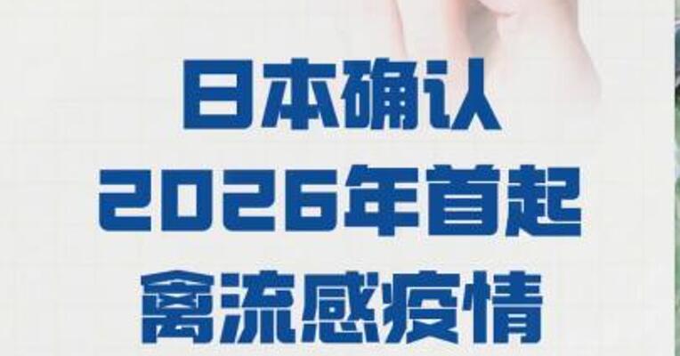 日本确认 2026年首起 禽流感疫情