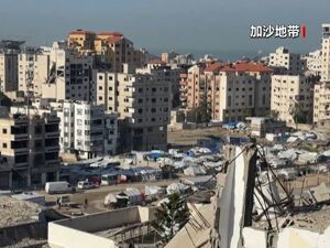 约旦、阿联酋、印度尼西亚、巴基斯坦、土耳其、沙特阿拉伯、卡塔尔和埃及八国外长发布联合声明！