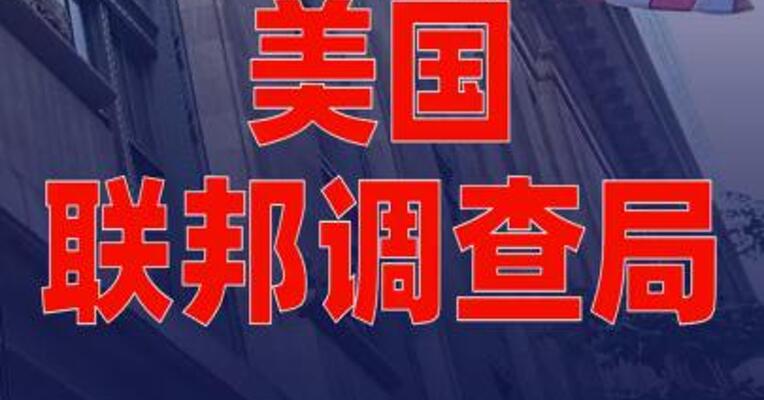 美国联邦调查局 挫败一起跨年夜恐袭图谋