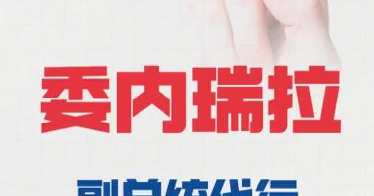 委内瑞拉副总统 代行总统职权
