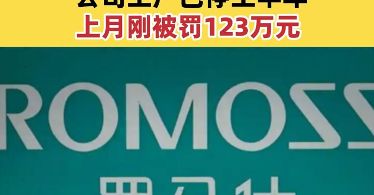 曾陷“自燃”“爆炸”风波 罗马仕正“启动重生计划” 公司工厂已停工半年 上月刚被罚123万元