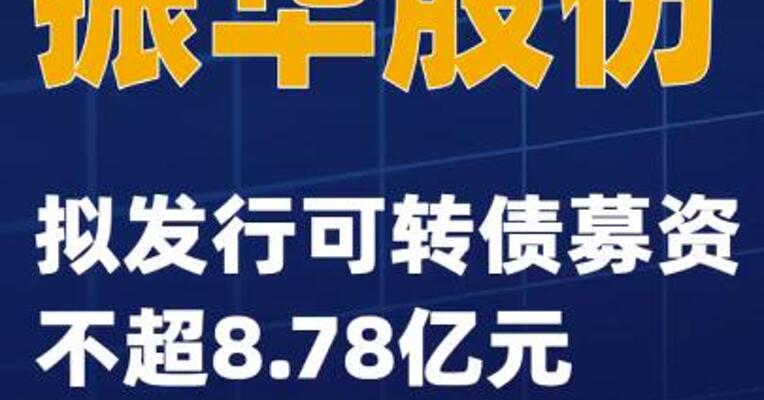 振华股份：拟发行可转债募资不超8.78亿元