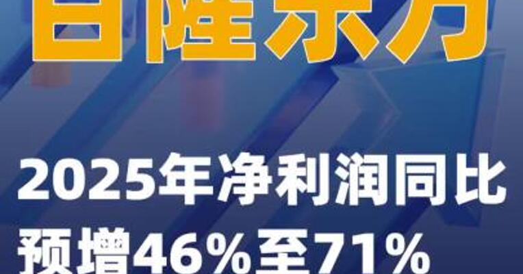 百隆东方：2025年净利润同比预增46%至71%