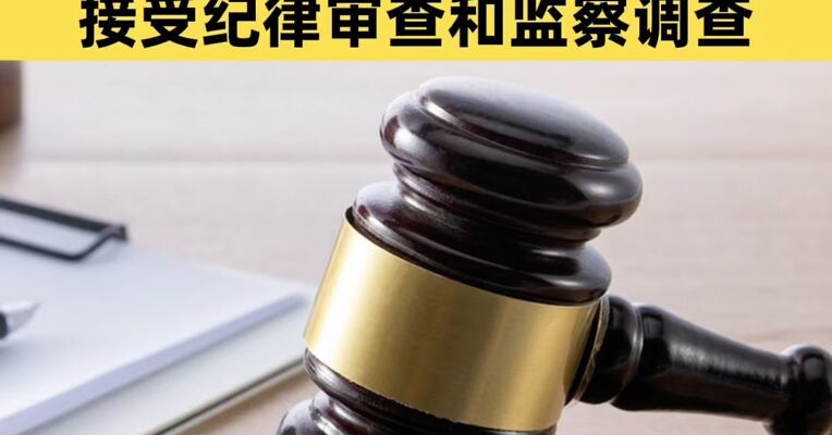 国家电力投资集团有限公司专职董事王国力接受纪律审查和监察调查