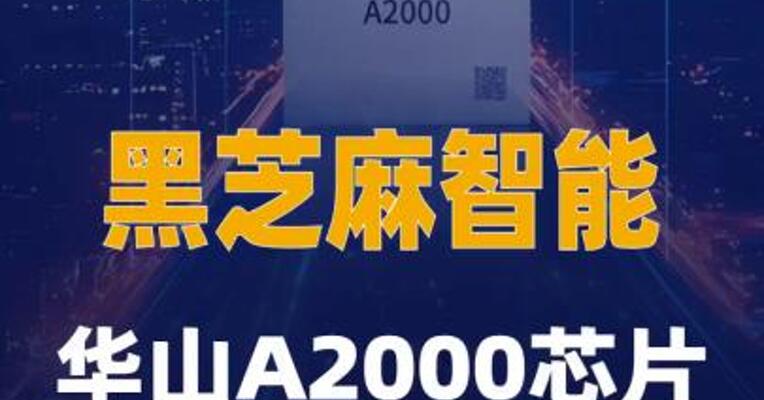 黑芝麻智能：华山A2000芯片 通过美国审查