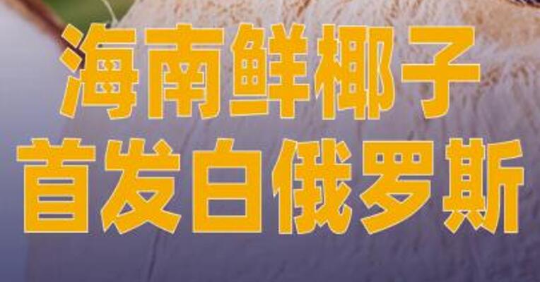 海南鲜椰子首发白俄罗斯