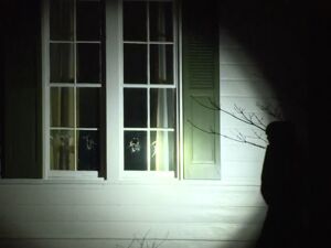突发！美副总统住宅遭破坏，警方已拘捕1人