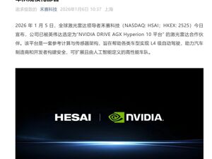 这家上市公司宣布：被英伟达选定为合作伙伴！公司股价直线拉升