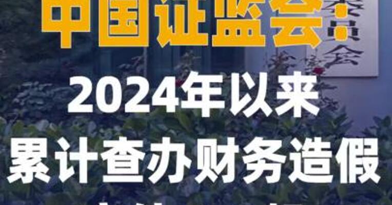 中国证监会2024年以来累计查办 财务造假案件159起