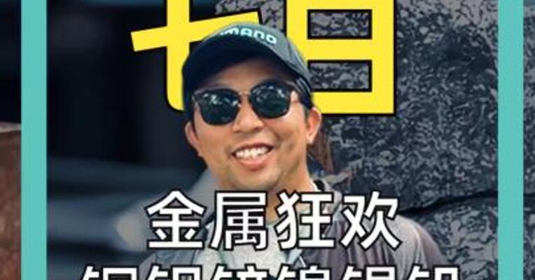 金属狂欢 铜铝锌镍锡铅 全面大涨！