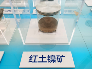 港股“子”曰 | “妖镍”起飞