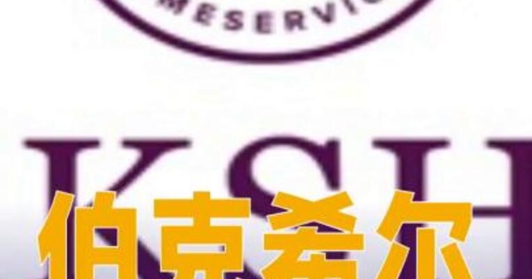 伯克希尔新CEO年薪达2500万美元