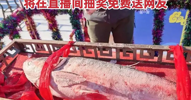 每斤4.47万元！吉林查干湖冬捕38斤“头鱼”拍出1699999元高价，将在直播间抽奖免费送网友