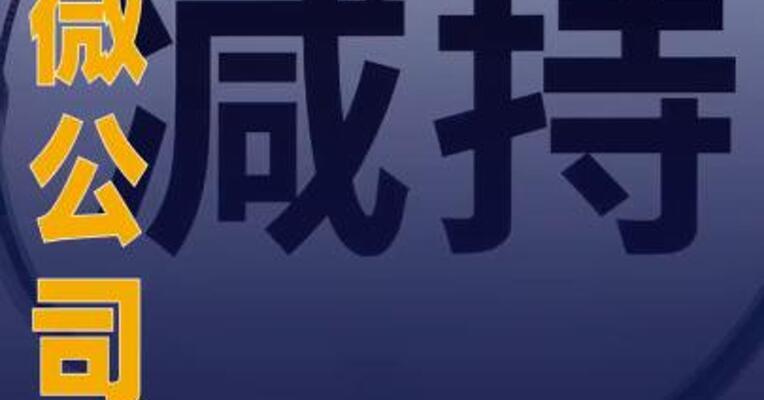 中微公司：大股东巽鑫投资 拟减持不超过2%公司股份