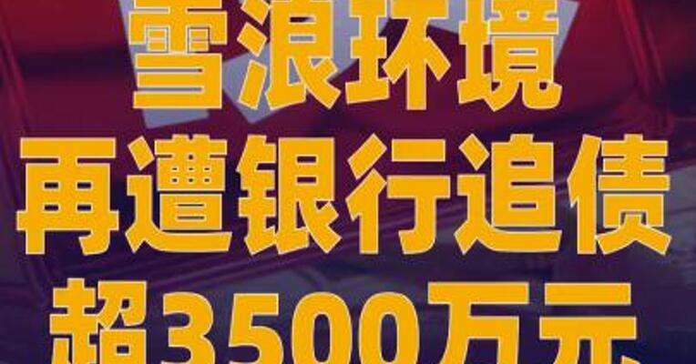 雪浪环境再遭银行追债 超3500万元