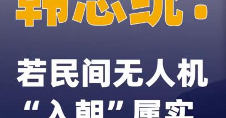 韩总统：若民间无人机“入朝”属实将是严重犯罪