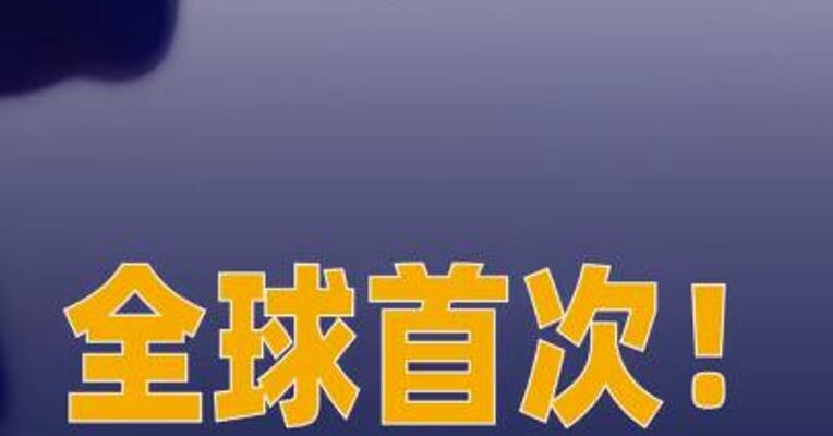全球首次 印尼暂时封禁 马斯克旗下AI聊天机器人