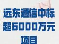 远东通信 中标超6000万元项目