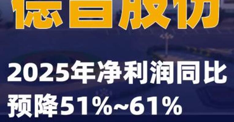 德昌股份：2025年净利润同比预降51%~61%