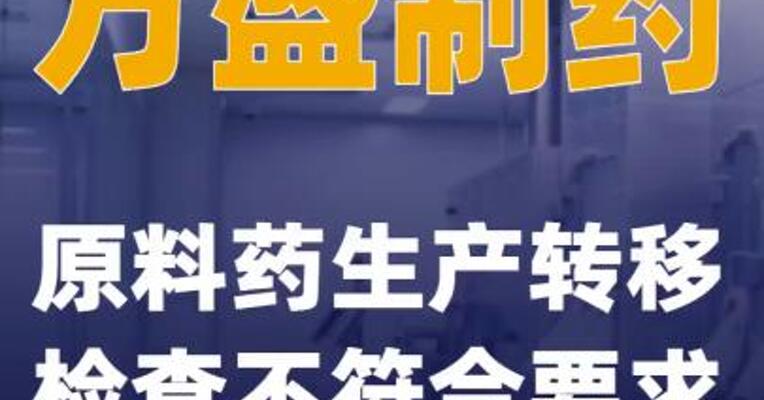 方盛制药：原料药生产转移检查不符合要求