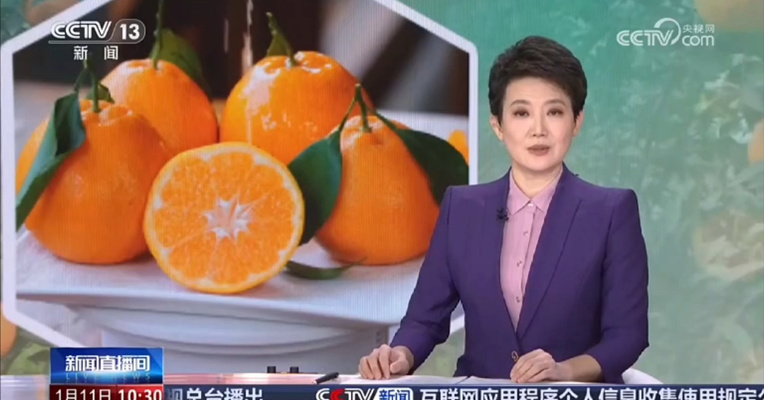 央媒看成都 | 央视关注四川蒲江：农产品踏上“碳足迹” 科技赋能 绿色种植