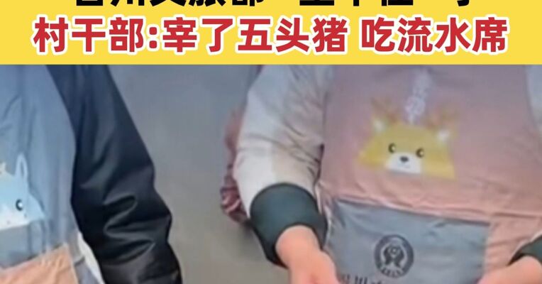女子网上求助“按猪” 上千网友驱车前来帮忙 合川文旅都“坐不住”了 村干部：宰了五头猪 吃流水席
