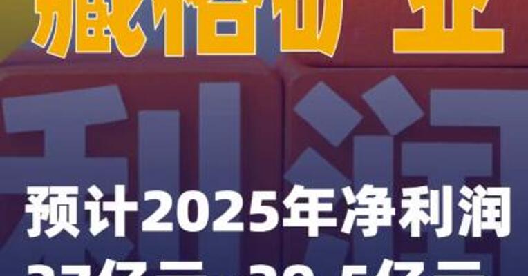 藏格矿业：预计2025年净利润37亿元~39.5亿元