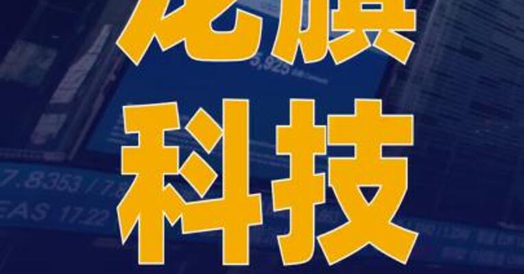 龙旗科技：刊发H股招股 说明书 发行价格上限31港元