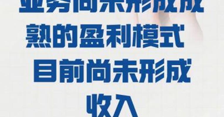 新华网：GEO业务 尚未形成成熟的盈利模式  目前尚未形成收入