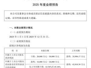 “牛股”帝科股份公告：预计2025年度净亏损2亿元~3亿元！