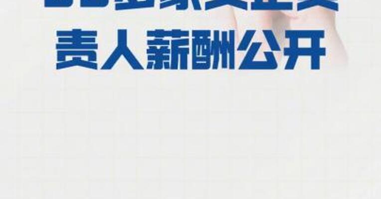 80多家央企负责人薪酬公开