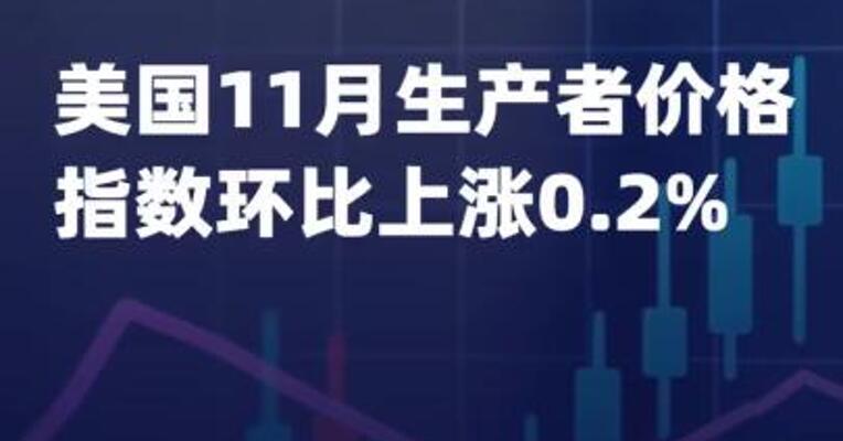 美国11月生产者价格指数环比 上涨0.2%
