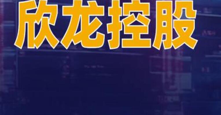 欣龙控股：没有AI应用侧的技术服务和投资