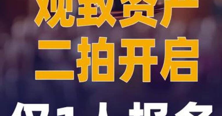 观致资产二拍开启：仅1人报名