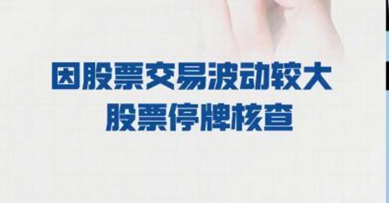 利欧股份： 因股票交易波动较大 股票 停牌核查