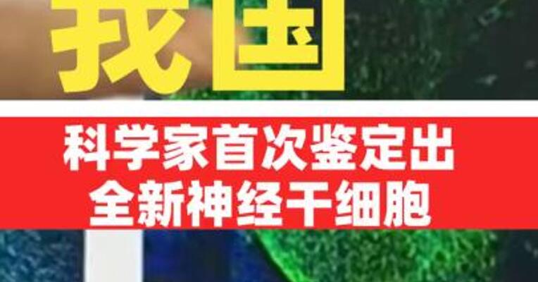 我国科学家首次鉴定出全新神经干细胞