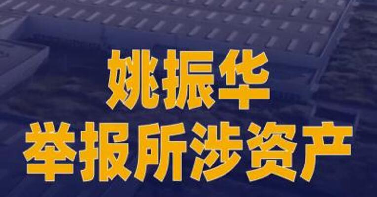 姚振华举报所涉资产二拍流拍