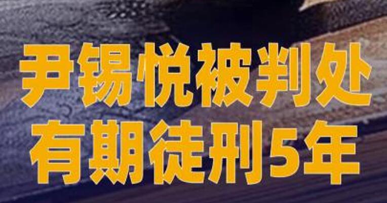 尹锡悦被判处有期徒刑 5年