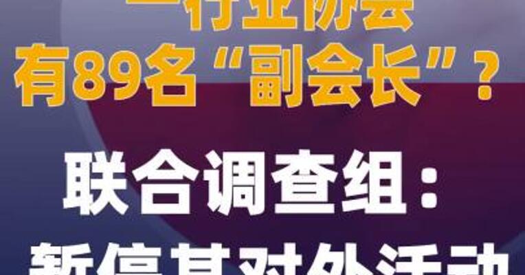 一行业协会有89名“副会长”？ 联合调查组：暂停其对外活动