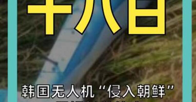 韩国无人机“侵入朝鲜” 尹锡悦总统府 两名前职员涉案