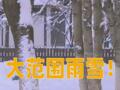 大范围雨雪！全国多地发布紧急停课通知