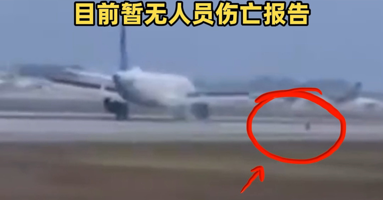 美国一客机降落时轮子掉了，机上共有约200名乘客和6名机组人员，目前暂无人员伤亡报告