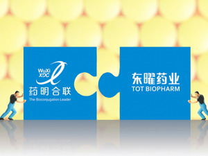 药明合联上市以来首次披露重大并购 拟以4.000港元/股价格收购东曜药业约7.73亿股