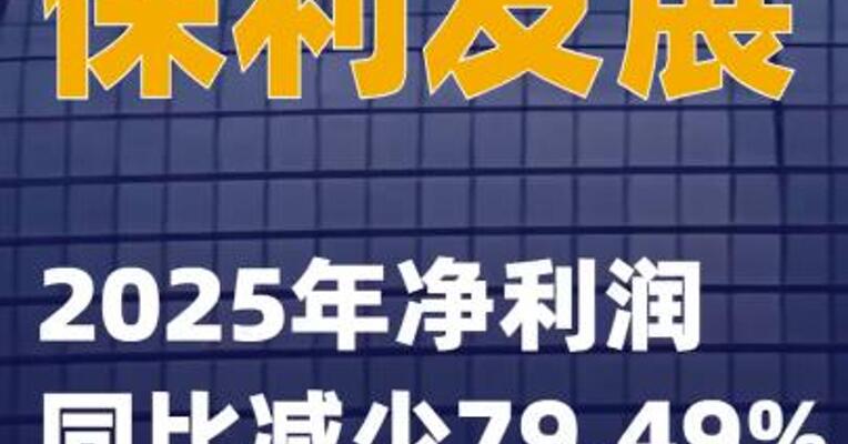保利发展：2025年净利润同比减少79.49%