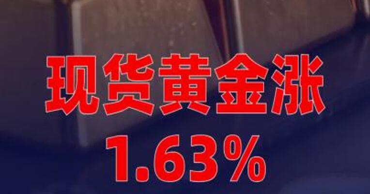 现货黄金涨1.63%，再创收盘新高