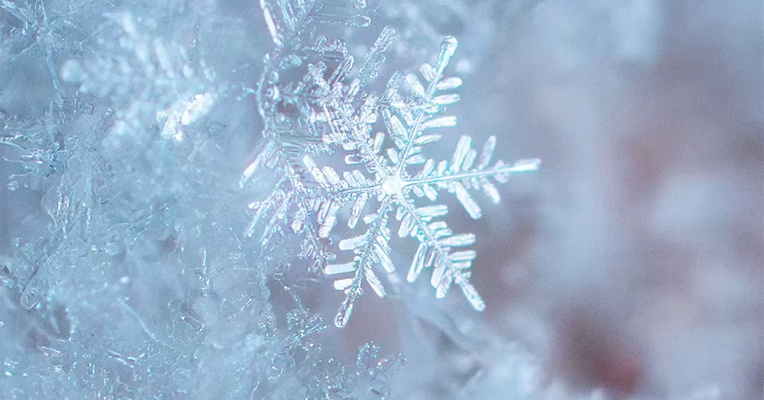 长三角地区的初雪，在大寒节气如期而至
